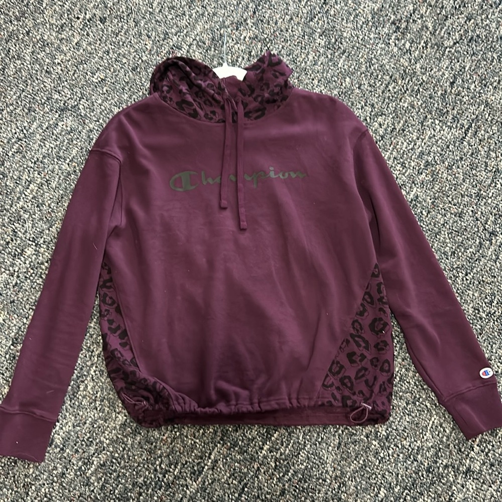 Small champion cropped hoodie